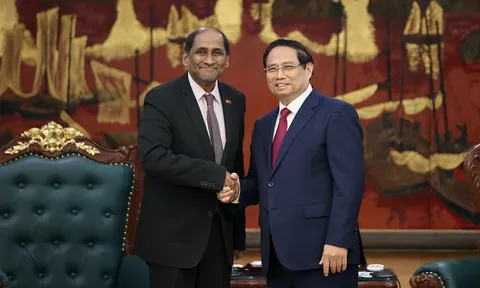 Đại sứ Singapore: Cộng đồng quốc tế đang đặt niềm tin vào Việt Nam