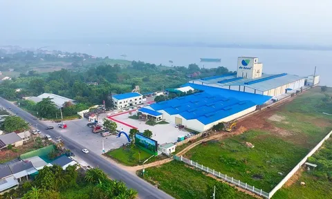 Thức ăn thủy sản De Heus đạt chuẩn quốc tế ASC: Bước tiến lớn trên hành trình phát triển bền vững