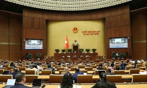 Hoàn thiện pháp luật về an ninh mạng và bảo vệ bí mật Nhà nước trong kỷ nguyên số