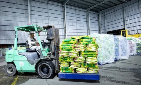 PVCFC khẩn cấp hỗ trợ vật tư chống lũ tại Đà Nẵng và Đắk Lắk