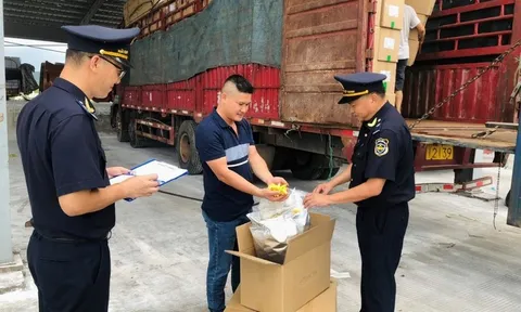 Chống buôn lậu vàng, hàng giả và ma túy trên các tuyến trọng điểm