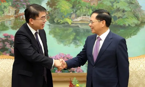 Phó Thủ tướng Bùi Thanh Sơn tiếp Giám đốc điều hành Tập đoàn Warburg Pincus