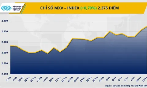 THỊ TRƯỜNG HÀNG HÓA: Ca cao rớt giá, ngô phục hồi nhẹ