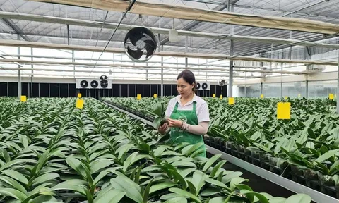 Kiến tạo nông thôn mới: Bứt phá từ nông nghiệp công nghệ cao và chuyển đổi số