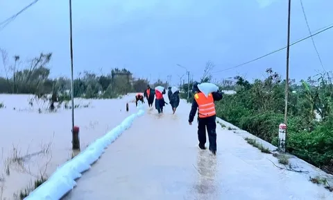 Lũ khẩn cấp trên các sông ở Khánh Hòa và Gia Lai