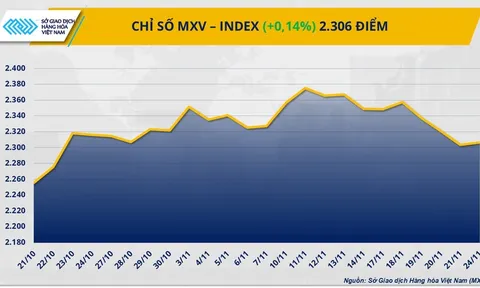THỊ TRƯỜNG HÀNG HÓA: Diễn biến trái chiều, cung - cầu tiếp tục chi phối giá
