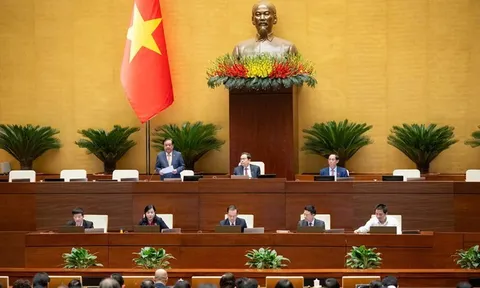 Xây dựng Luật AI: Đặt cơ chế thử nghiệm có kiểm soát ở vị trí trung tâm