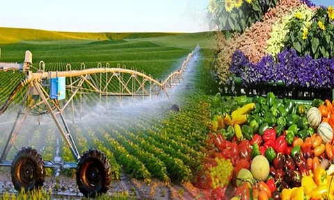 Sửa Luật Thuế GTGT: Khơi thông hoàn thuế, giảm áp lực vốn cho nông nghiệp và xuất khẩu