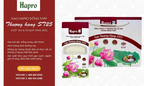 Gạo Hapro Thượng hạng ST25 đạt Top 2 “Hàng Việt Nam được người tiêu dùng yêu thích” năm 2025