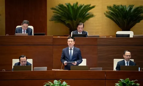 Luật khung để hình thành quốc gia số: Bước tiến cho chuyển đổi số toàn diện