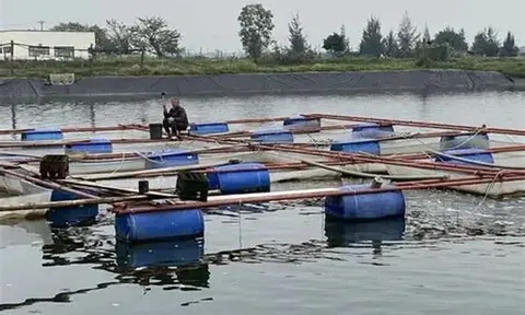 Tổng hợp nhu cầu giống, vật tư thủy sản để khôi phục sản xuất sau mưa lũ