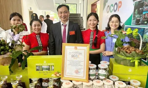 Khai thác lợi thế, phát triển sản phẩm OCOP gắn với xây dựng thương hiệu nông sản tại Điện Biên