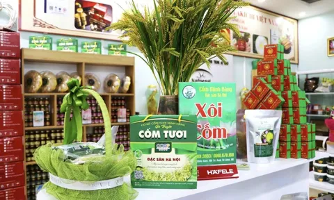 Hà Nội - Điểm sáng trong phát triển và xúc tiến thương mại sản phẩm OCOP