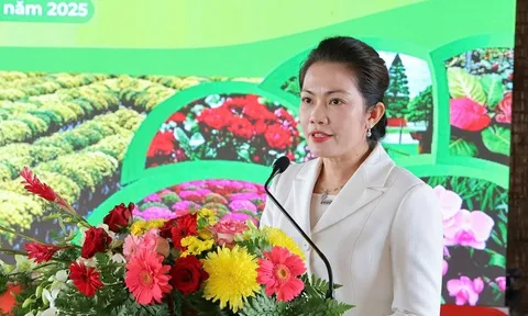 Festival Hoa – Kiểng Sa Đéc 2025: 'Sắc hoa ngày mới' hứa hẹn mùa lễ hội bùng nổ