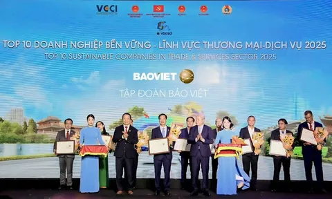 CSI 2025: Ghi nhận động lực chuyển đổi xanh doanh nghiệp