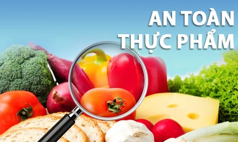 Nâng cao nhận thức ATTP cho hộ sản xuất nhỏ lẻ: Vai trò của truyền thông khoa học