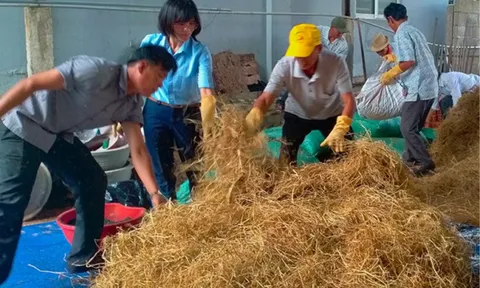 Ứng dụng công nghệ sinh học trong xử lý rác thải nông thôn