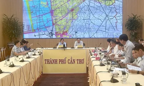 Phối hợp đảm bảo tiến độ dự án đường dây 500 kV LNG Bạc Liêu - Thốt Nốt