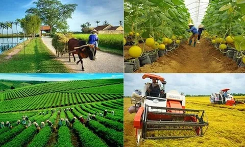 ADB và BIDV ký gói tài chính 250 triệu USD hỗ trợ nông nghiệp bền vững, nữ chủ DN