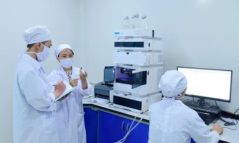 Đầu tư khoa học cơ bản đúng hướng, hiệu quả được đo đếm rõ ràng