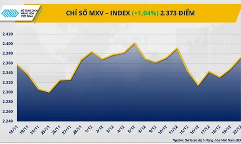 THỊ TRƯỜNG HÀNG HÓA: Dòng tiền quay lại, MXV-Index tăng hơn 1%