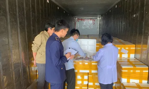 Phát hiện trên 10 tấn cá khoai chứa chất bảo quản cực độc