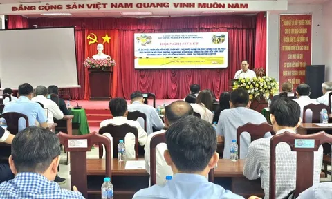 Cần Thơ quyết liệt triển khai Đề án 1 triệu ha lúa, hướng tới sản xuất xanh, phát thải thấp bền vững