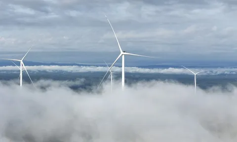 Chính thức vận hành thương mại nhà máy điện gió Savan 1 của T&T Group tại Lào