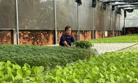 Công nghệ tưới tiết kiệm nước giải phóng sức lao động cho nông dân