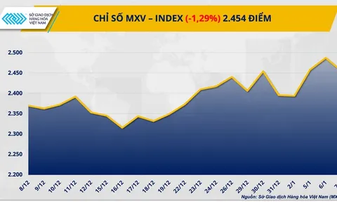 THỊ TRƯỜNG HÀNG HÓA: Giá bạch kim lao dốc, lúa mì ‘nóng’ dần theo vụ mùa Mỹ