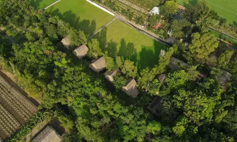 Nông thôn mới trong lòng đô thị TP. Hồ Chí Minh: Hướng tới không gian sống xanh, văn minh, bền vững