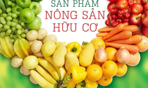 So sánh giá trị dinh dưỡng giữa nông sản hữu cơ và nông sản thông thường