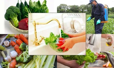 Thực trạng tồn dư thuốc bảo vệ thực vật trong nông sản hiện nay: Mối lo âm thầm đối với sức khỏe cộng đồng