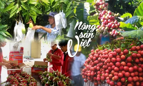 Nâng cao chất lượng dinh dưỡng từ nông sản Việt: Cơ hội cho chế biến sâu