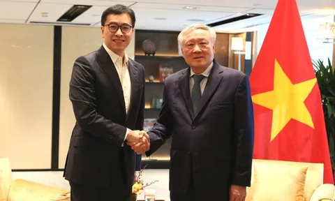 Khuyến khích các tổ chức tài chính quốc tế uy tín thúc đẩy hợp tác, đầu tư tại Việt Nam