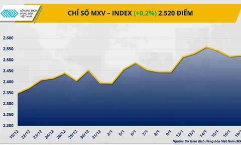 THỊ TRƯỜNG HÀNG HÓA: Thanh khoản sụt giảm trong ngày Mỹ nghỉ lễ, MXV-Index vẫn giữ sắc xanh