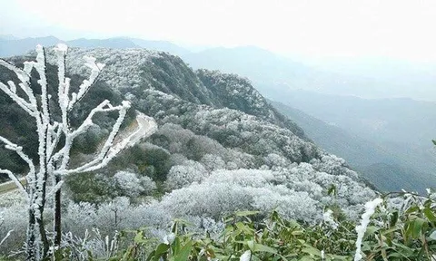 Chủ động ứng phó rét đậm, rét hại