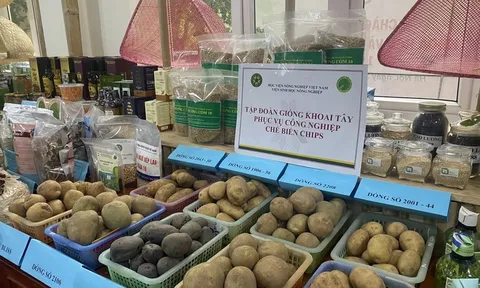 Đưa nông sản 'bay xa' bằng con đường ngoại giao