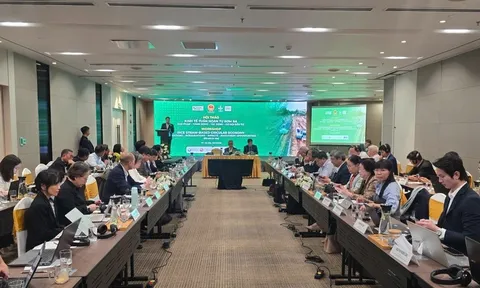 Kinh tế tuần hoàn từ rơm rạ mở lối cho nông nghiệp phát thải thấp