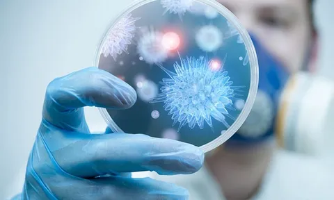 Bộ Y tế khuyến cáo người dân hạn chế đến khu vực có dịch bệnh do virus Nipah