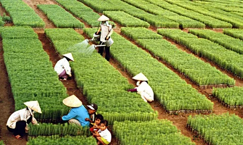 Ngành Nông nghiệp và Môi trường đặt mục tiêu xuất khẩu gần 74 tỷ USD năm 2026