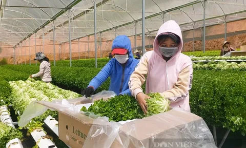 Chế biến, bảo quản nông sản – nền tảng cho hệ sinh thái thực phẩm an toàn