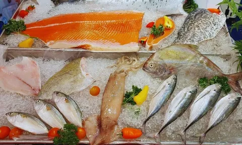 Bảo quản thủy sản: Yếu tố quyết định chất lượng và an toàn thực phẩm