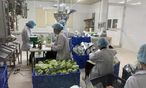 Xuất khẩu nông lâm thủy sản: Nhiều ngành hàng tăng tốc, mở rộng thị phần