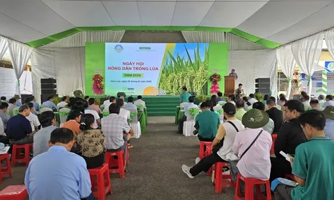 Ngày hội nông dân trồng lúa 2026: Thúc đẩy sản xuất lúa chất lượng cao, giảm phát thải ở ĐBSCL