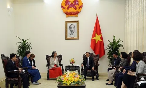 Việt Nam tăng cường hợp tác với UNDP, WHO trong cải thiện chất lượng không khí