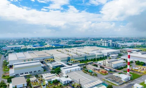 IMC đồng hành cùng doanh nghiệp nâng cao năng lực quản trị và tuân thủ thuế