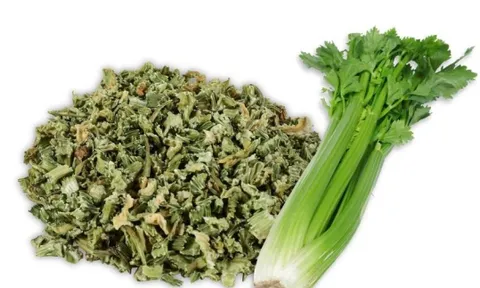 Kết quả nghiên cứu thực nghiệm xác định phương pháp sấy lá cần tây