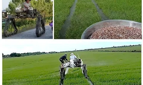 Thử nghiệm máy phun thuốc, bón phân cho ruộng lúa sử dụng hệ thống di động bằng xích cao su