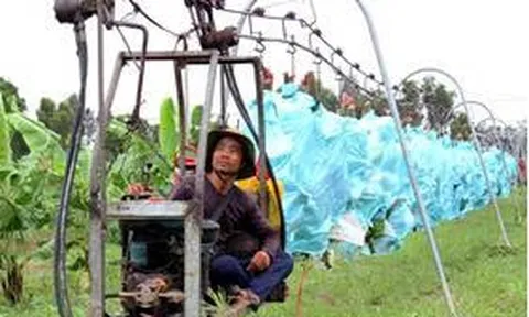 Kết quả nghiên cứu thiết kế chế tạo và khảo nghiệm  Thiết bị vận chuyển buồng chuối trên đường ray treo